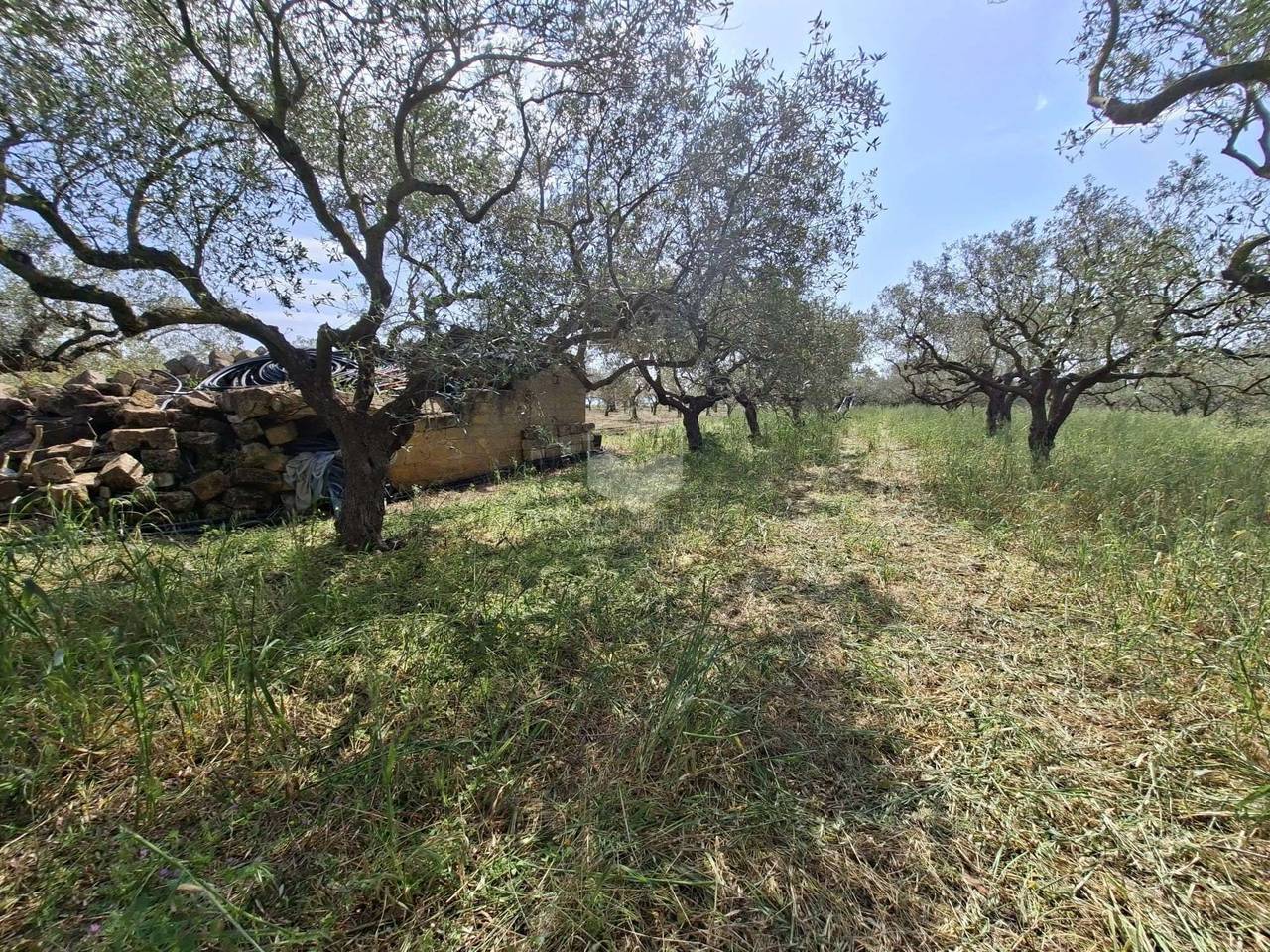 immagine annuncio 3 di 4