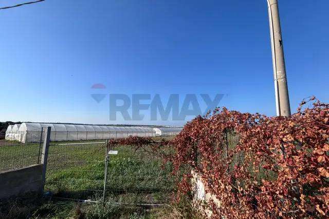 insertion image