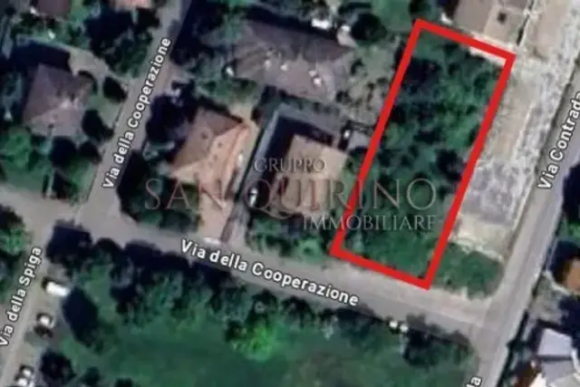 insertion image