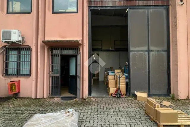 insertion image
