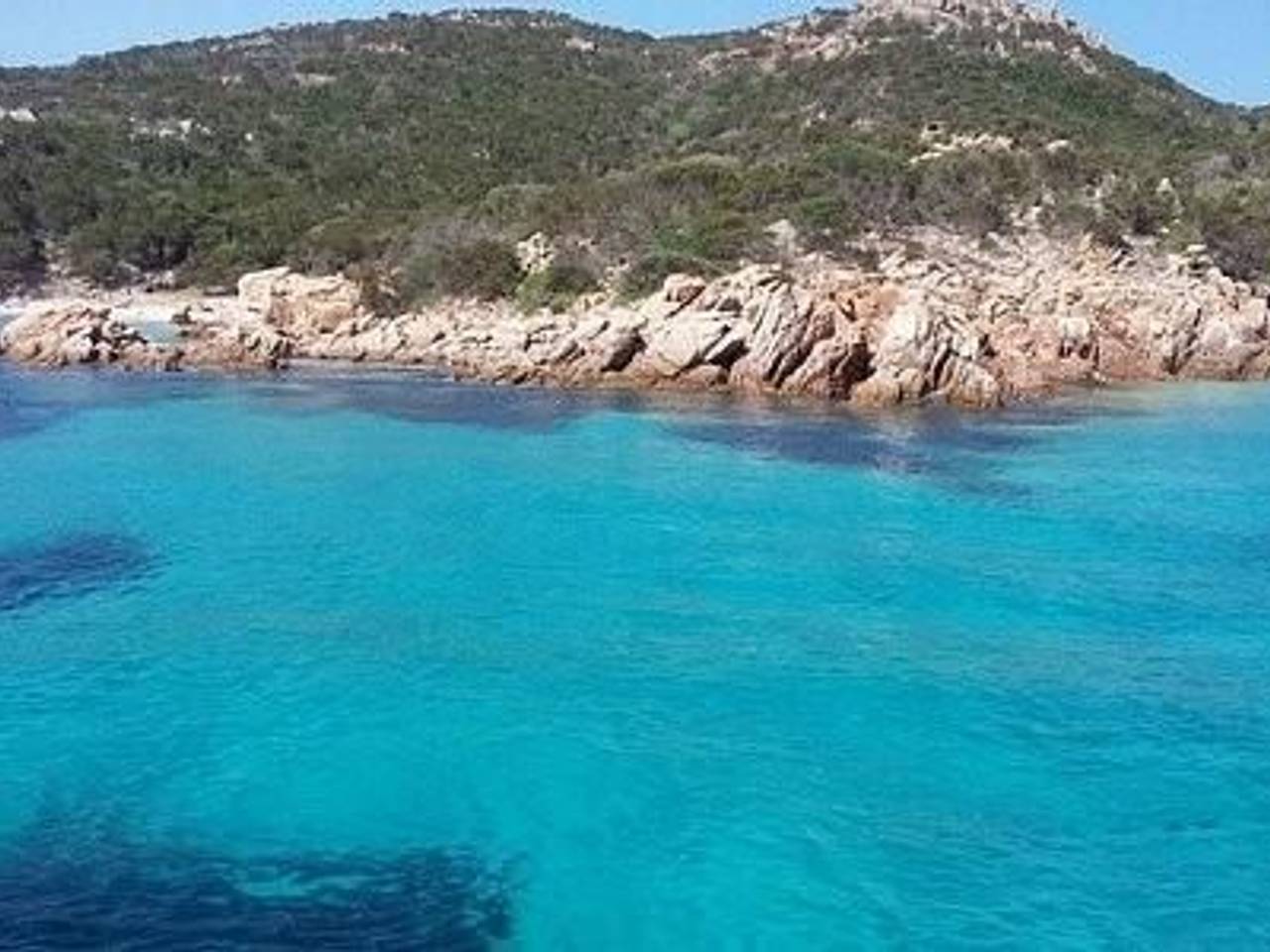 immagine annuncio 11 di 14