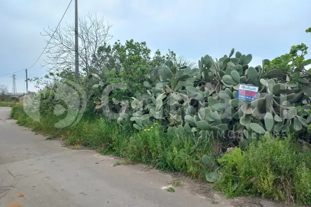 insertion image