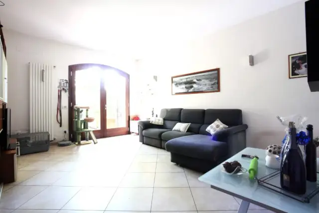 insertion image