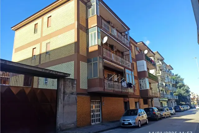 insertion image