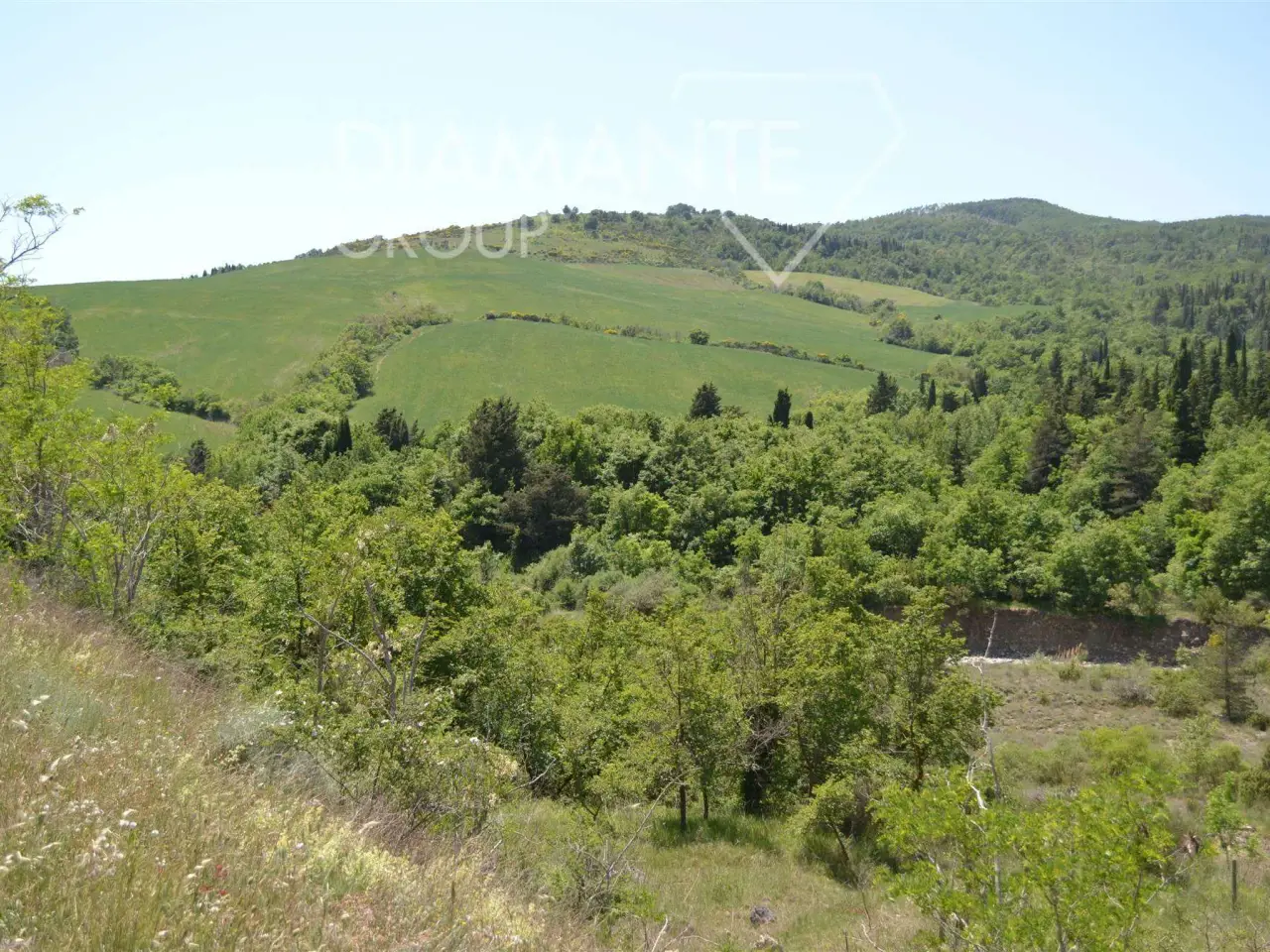 Azienda agricola in , Castiglione D'Orcia, {3} - Foto 2