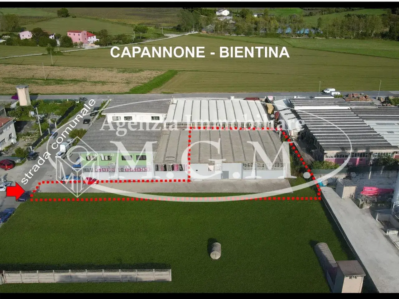 Capannone in , Bientina, {3} - Foto 1