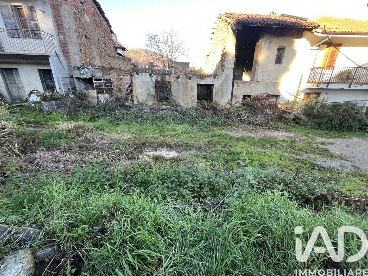 immagine annuncio 1 di 6