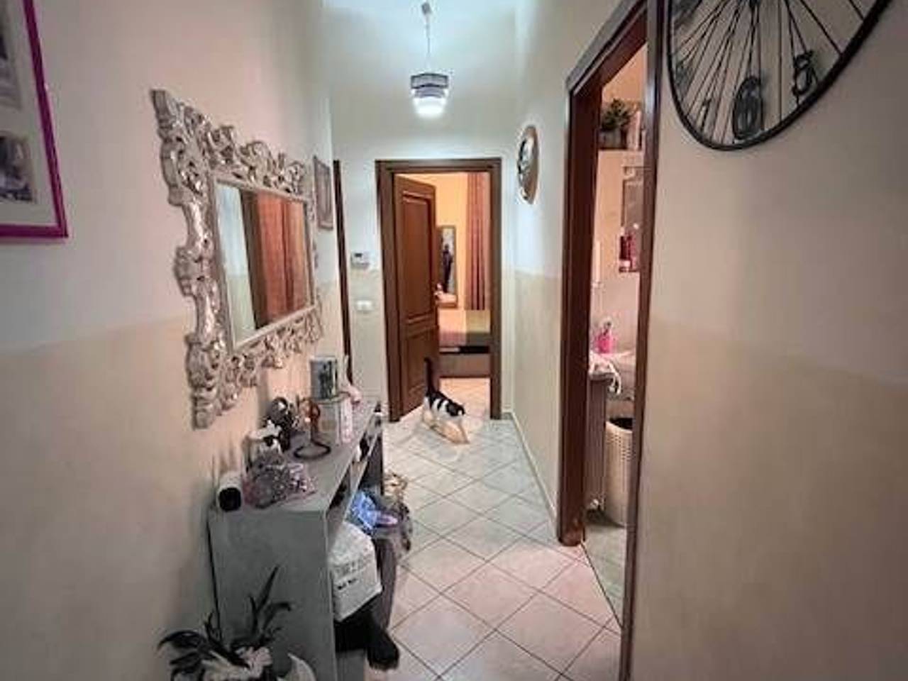 immagine annuncio 1 di 9