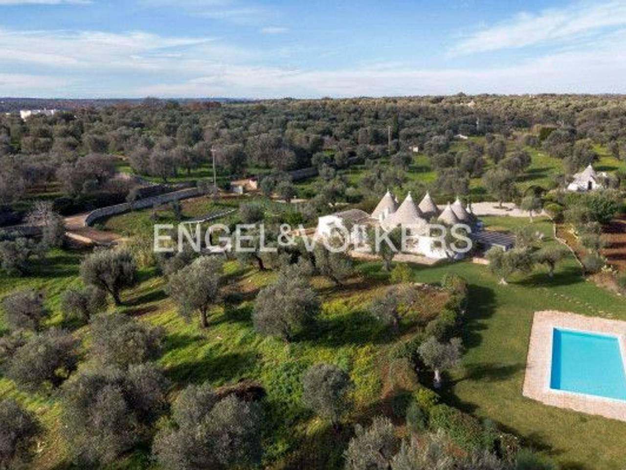 immagine annuncio 11 di 12