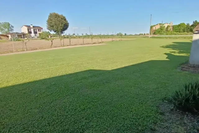 insertion image
