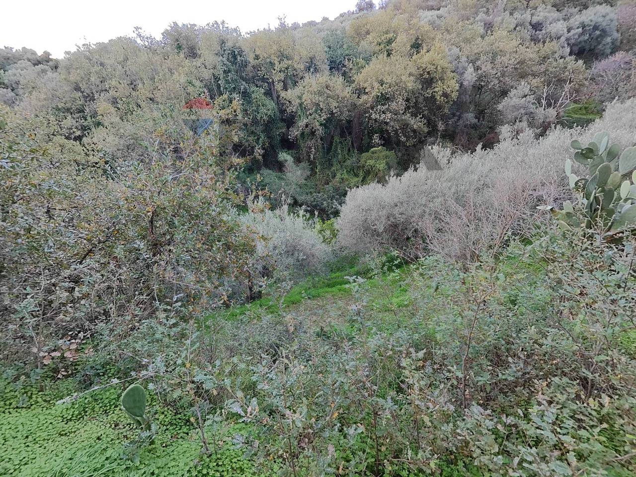 immagine annuncio 5 di 8
