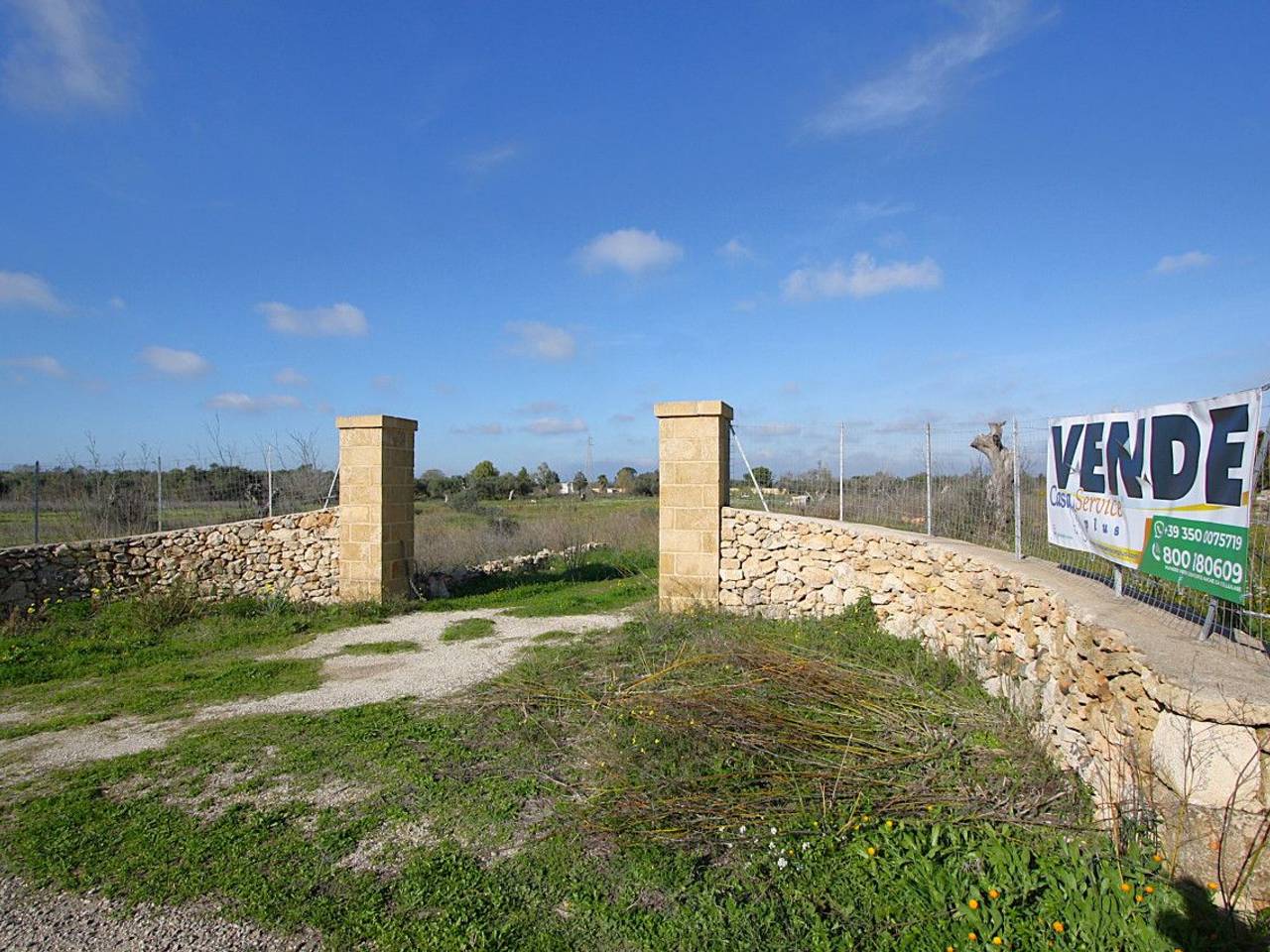 immagine annuncio 11 di 15