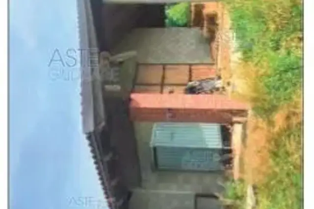 insertion image