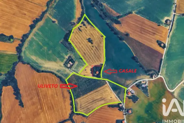insertion image