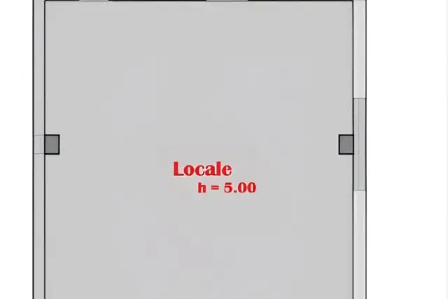 insertion image