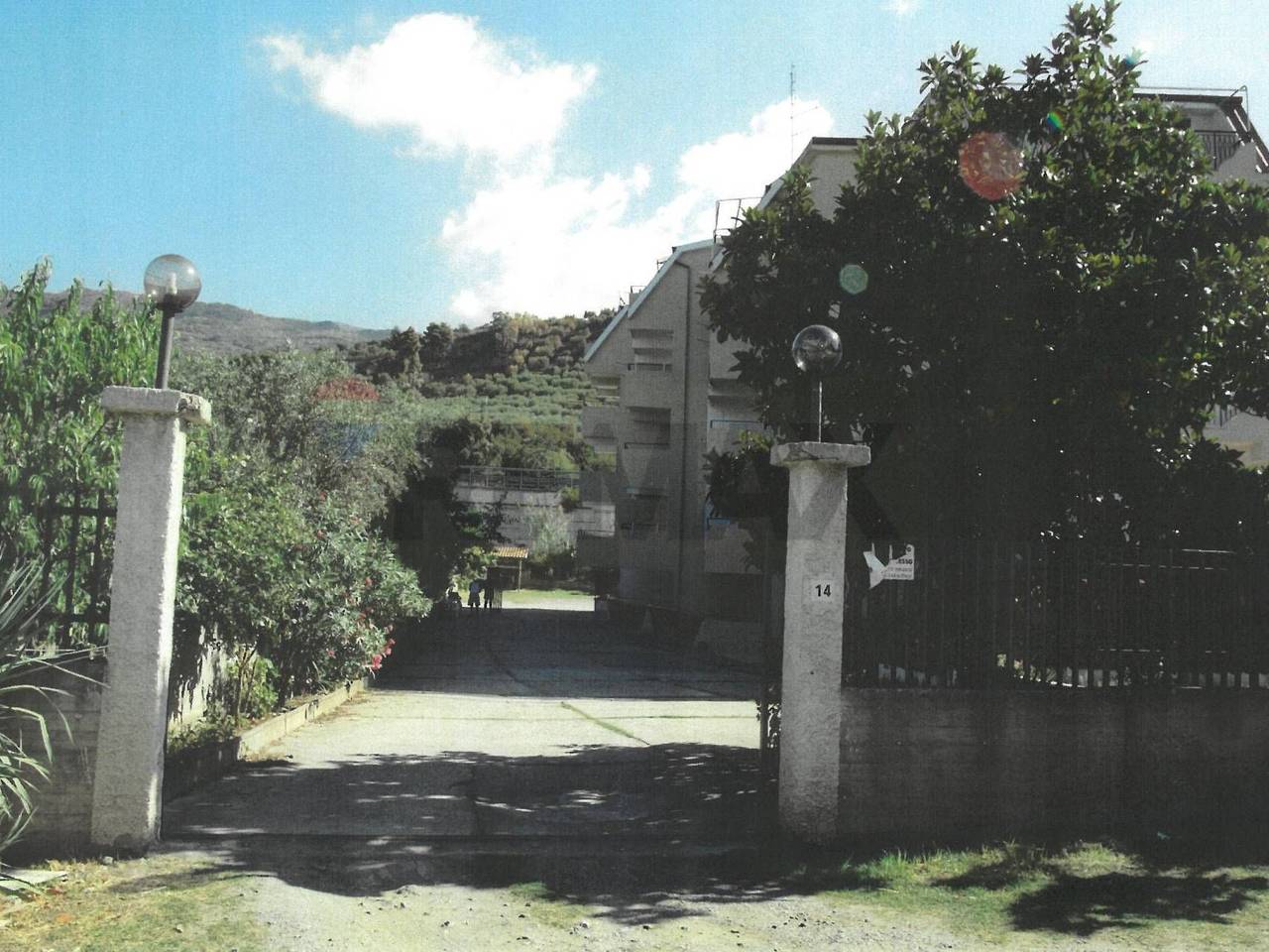 immagine annuncio 13 di 14