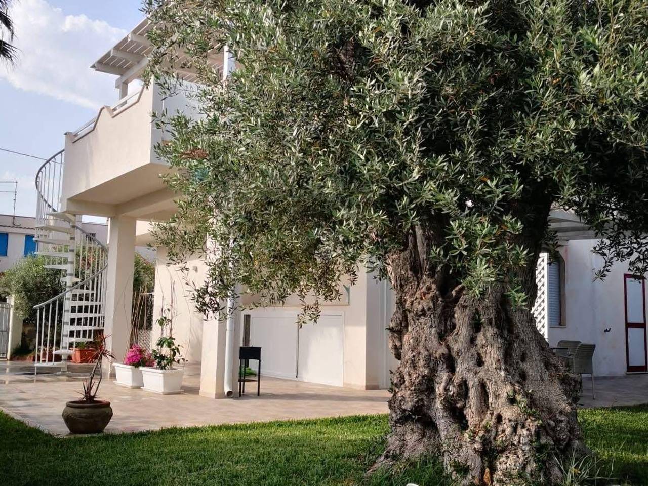 immagine annuncio 5 di 15