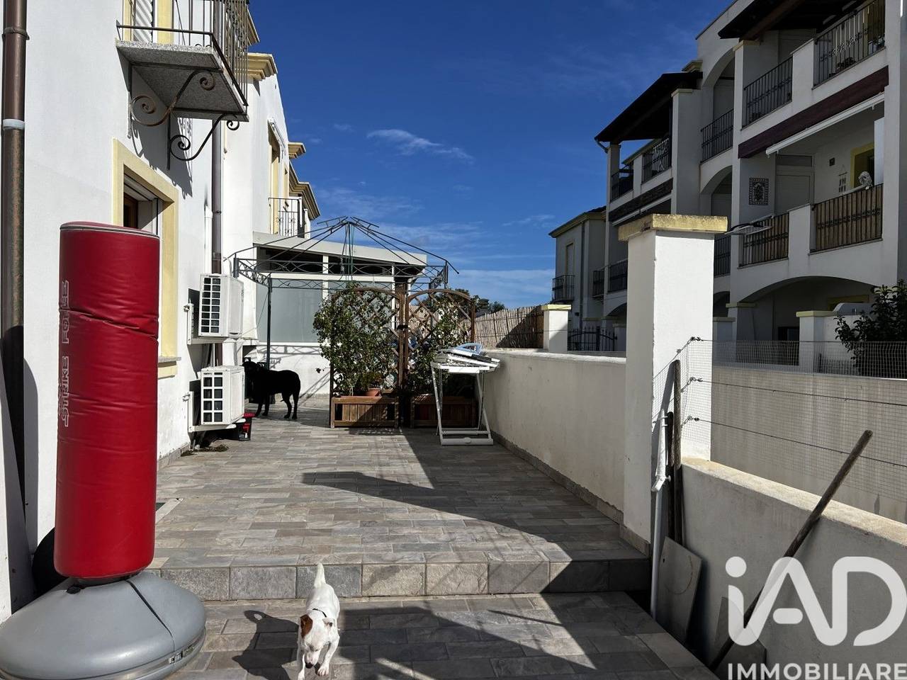 immagine annuncio 14 di 15