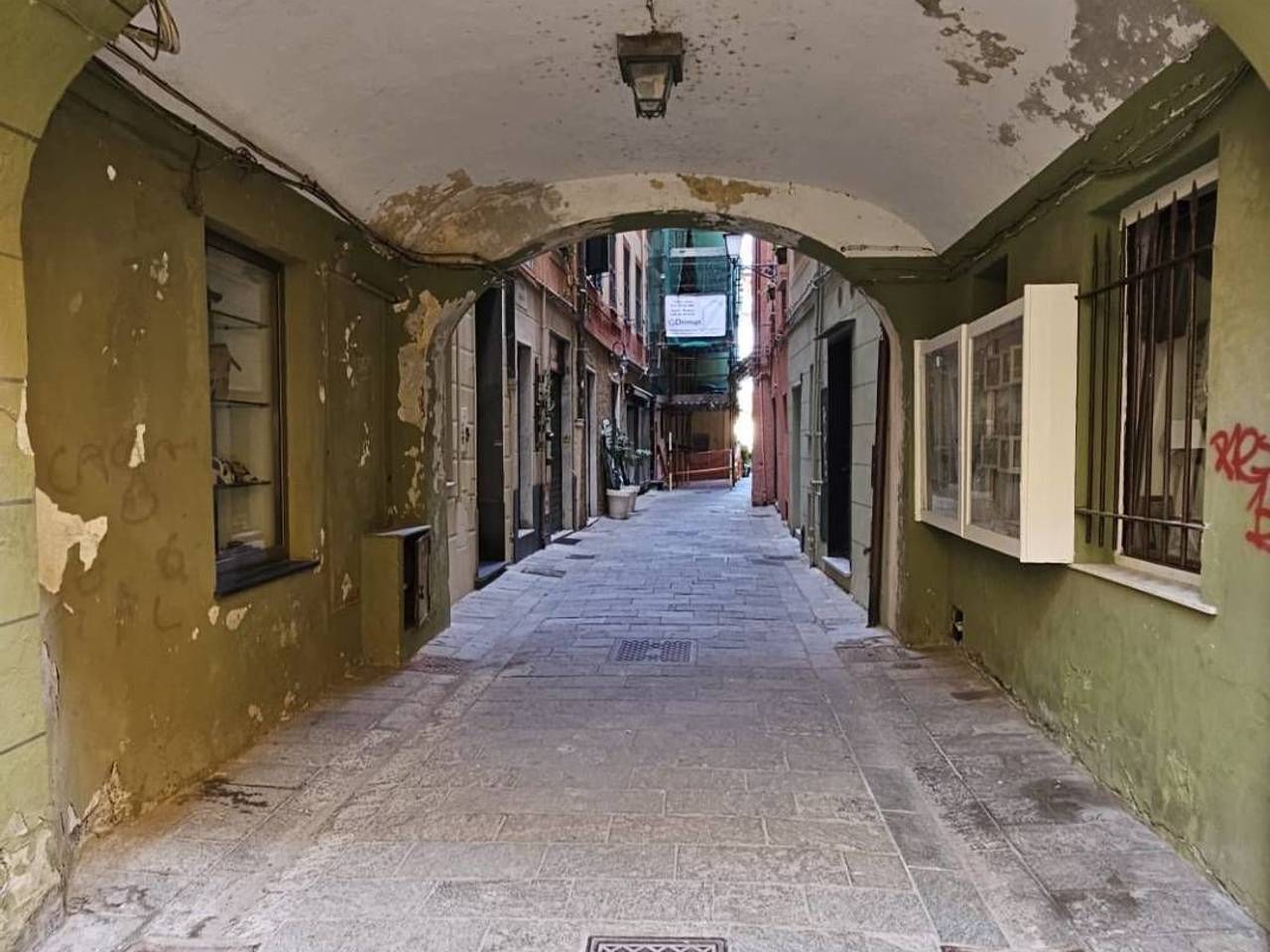 immagine annuncio 9 di 13