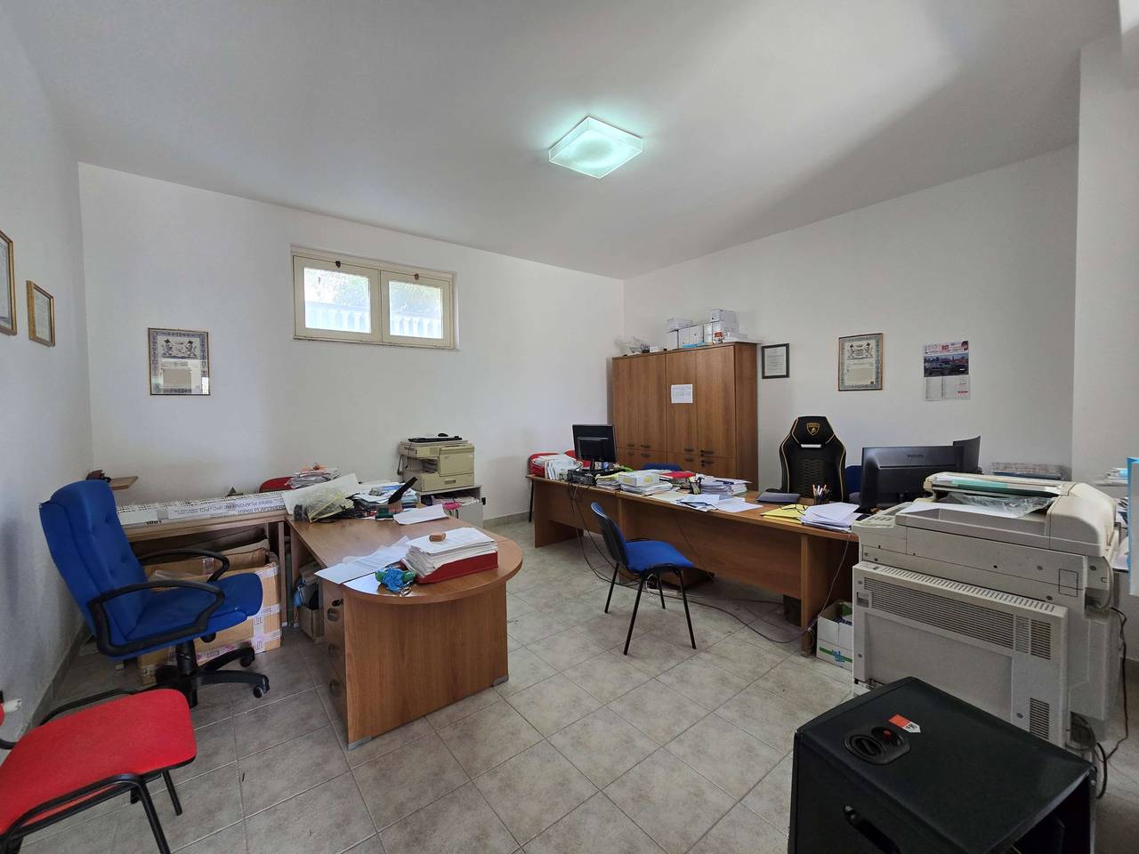 immagine annuncio 14 di 15