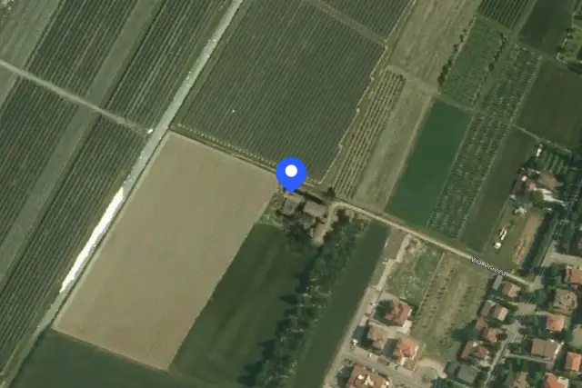 insertion image