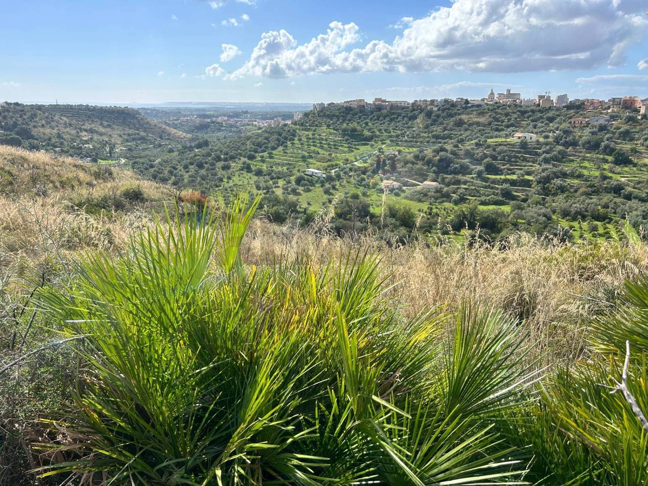 immagine annuncio 6 di 7