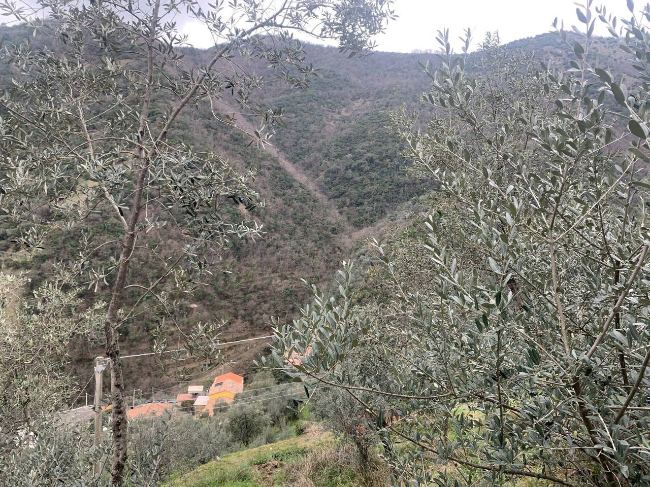 immagine annuncio 4 di 6