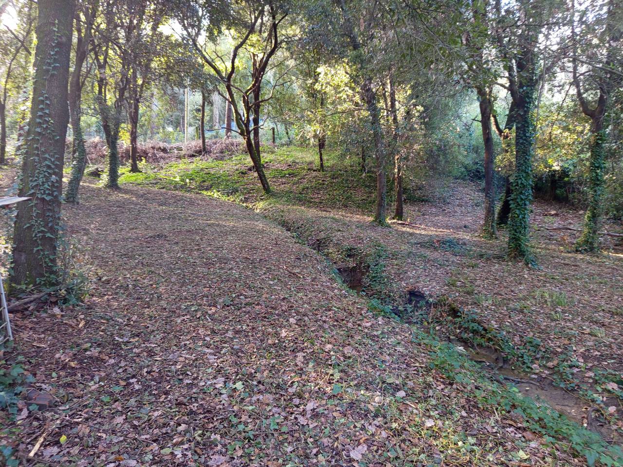 immagine annuncio 9 di 14