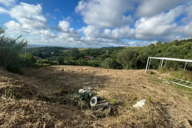 Terreno agricolo in Via della Porcigliana 57, Livorno - Foto 1