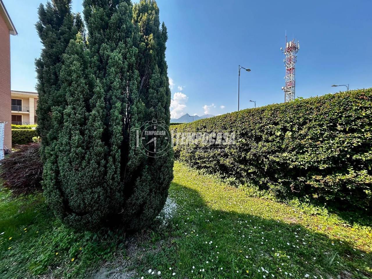 immagine annuncio 6 di 13