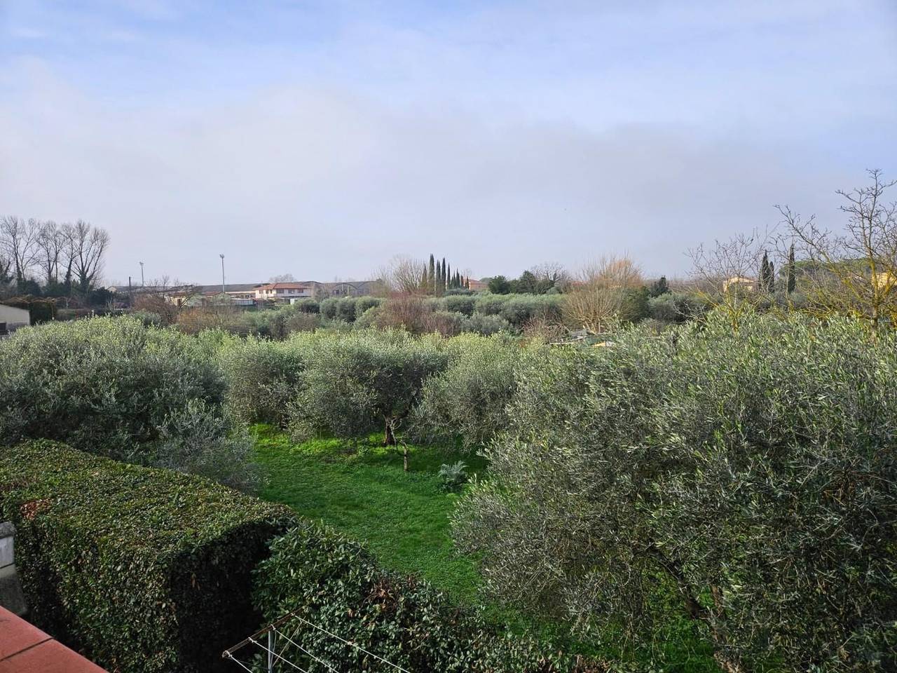 immagine annuncio 6 di 14