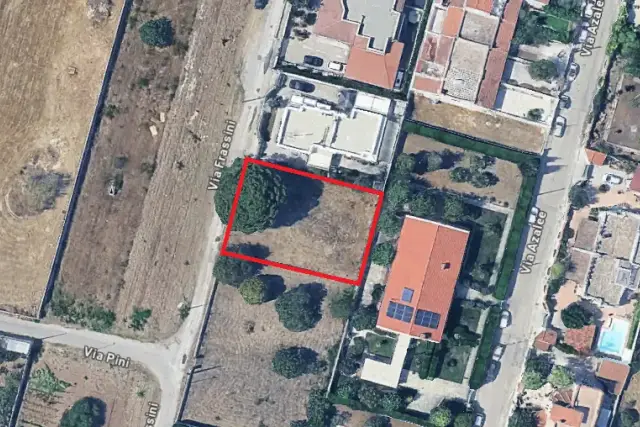 insertion image