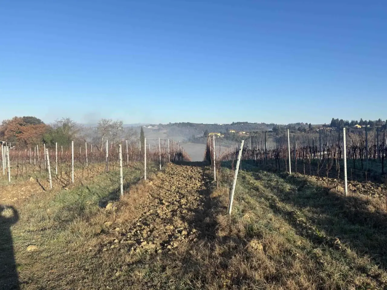 Azienda agricola in , Montespertoli, {3} - Foto 1