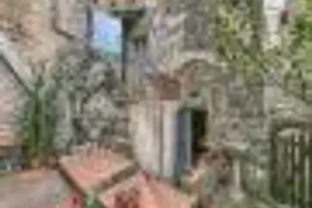 insertion image