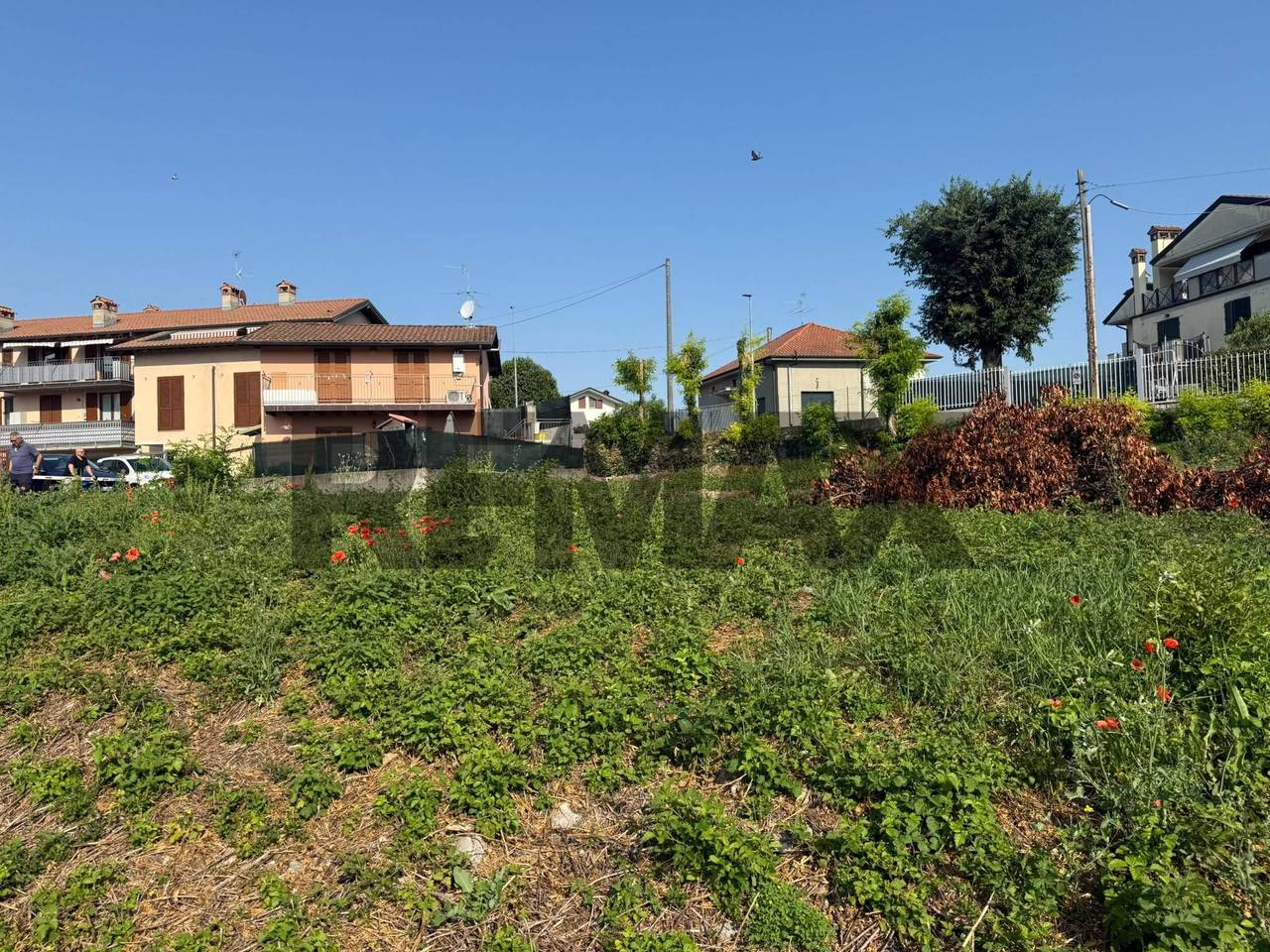 immagine annuncio 3 di 13