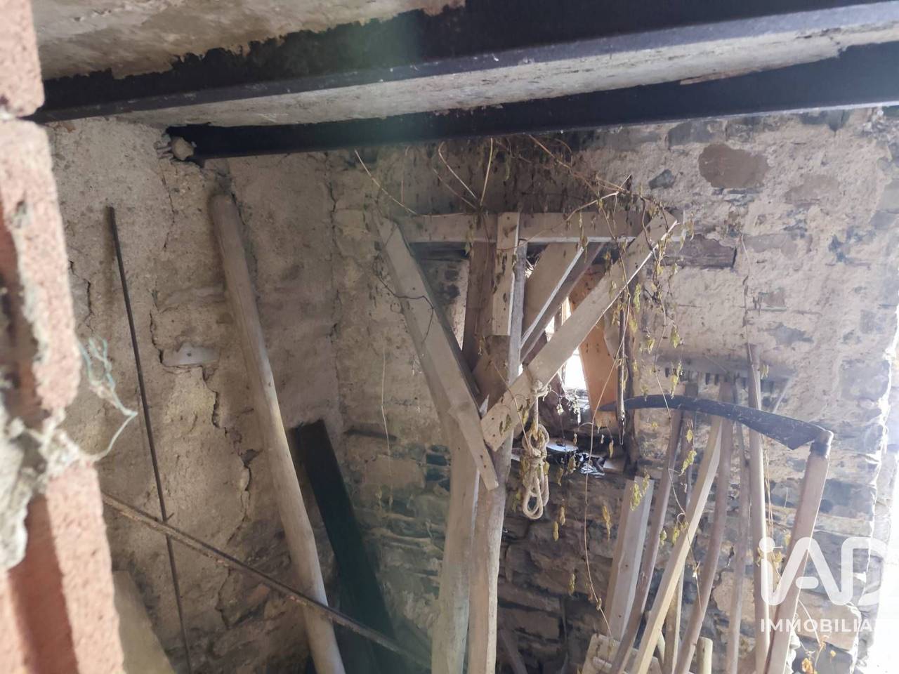 immagine annuncio 6 di 13