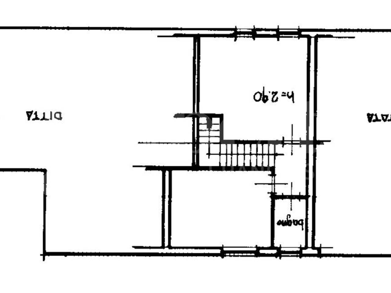 immagine annuncio 12 di 13