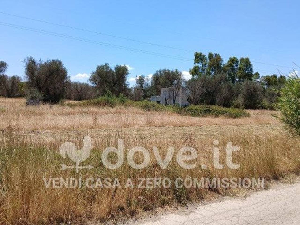 immagine annuncio 4 di 11