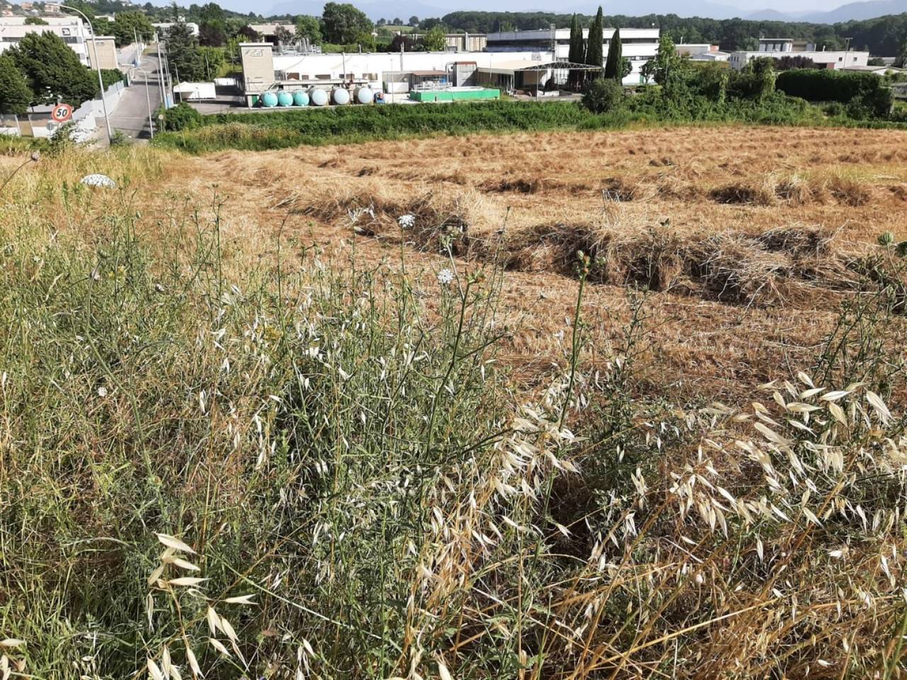 immagine annuncio 3 di 7