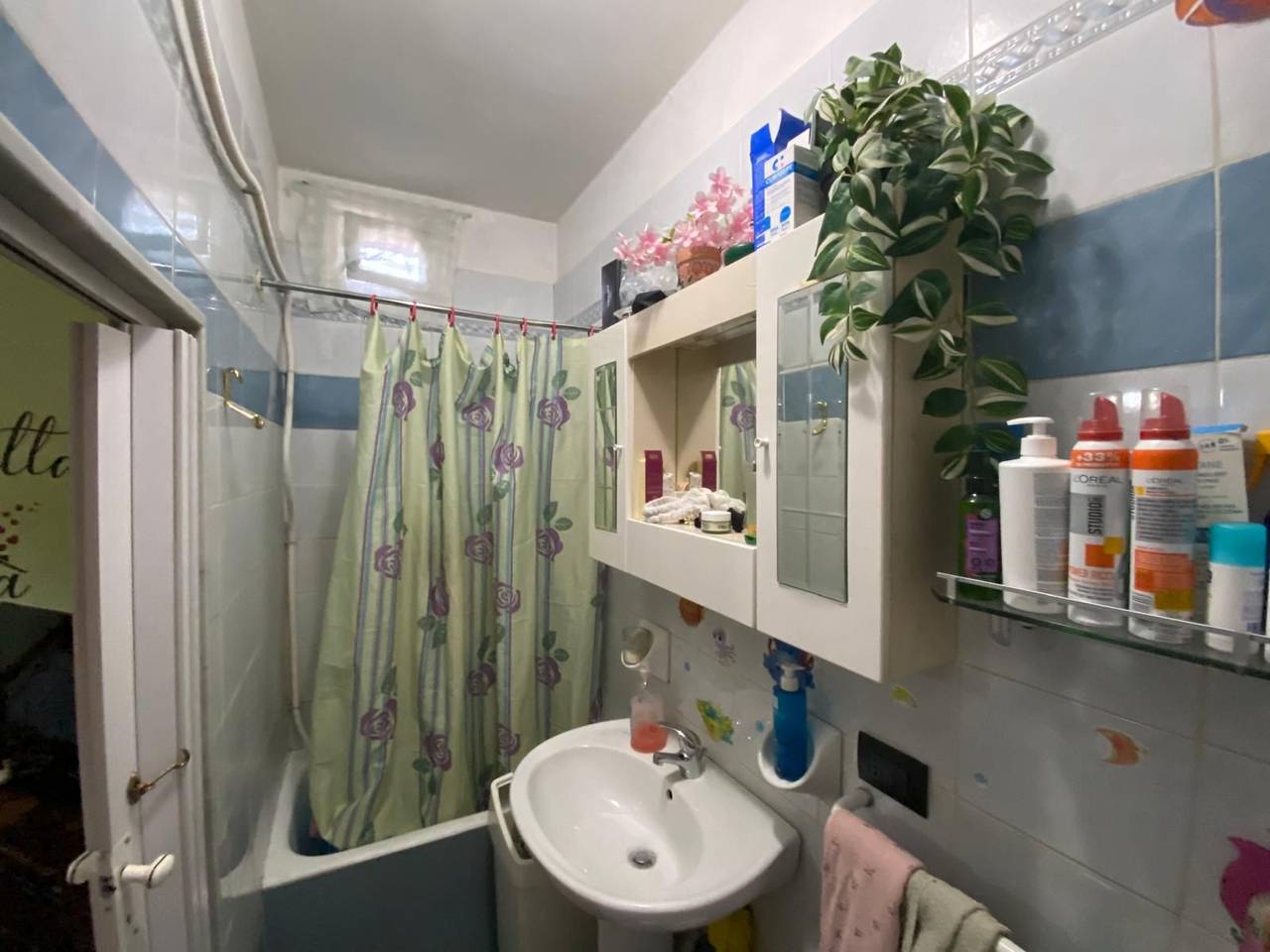 immagine annuncio 12 di 13