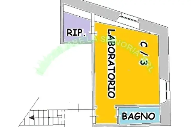 insertion image