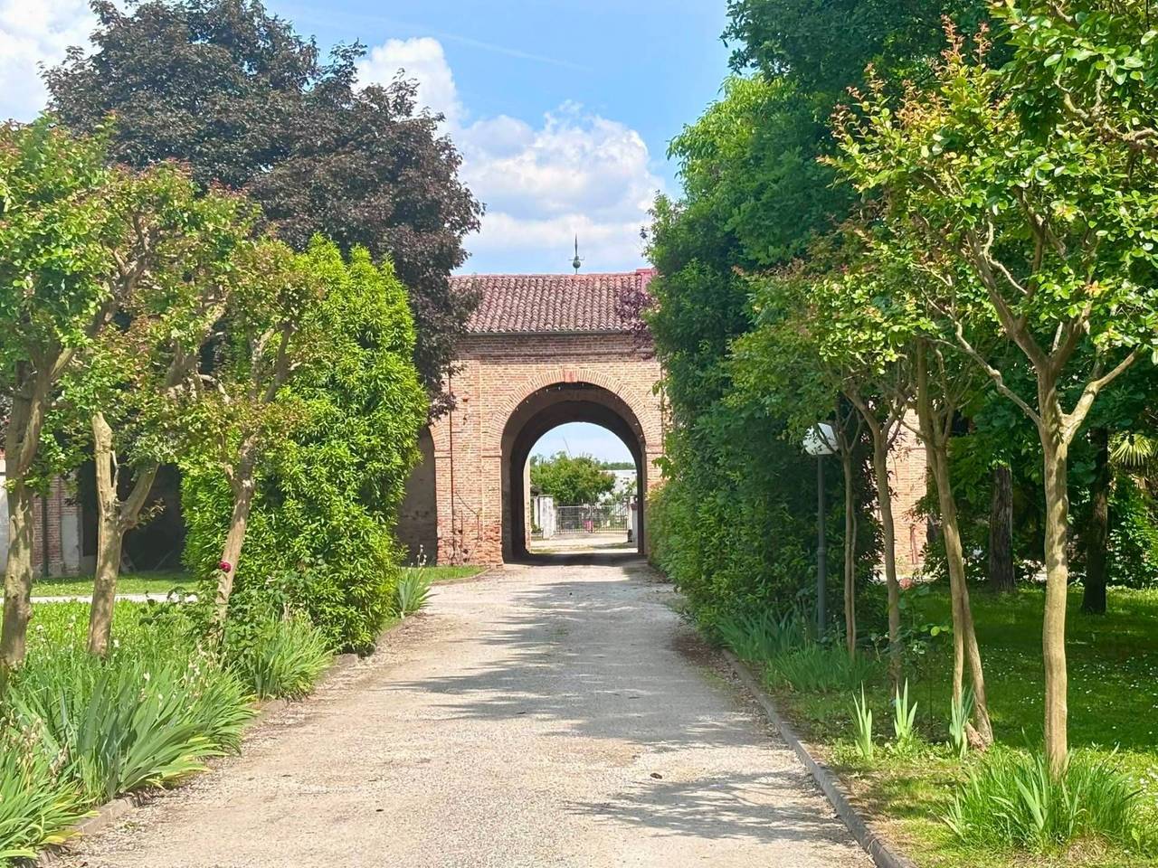 immagine annuncio 6 di 9