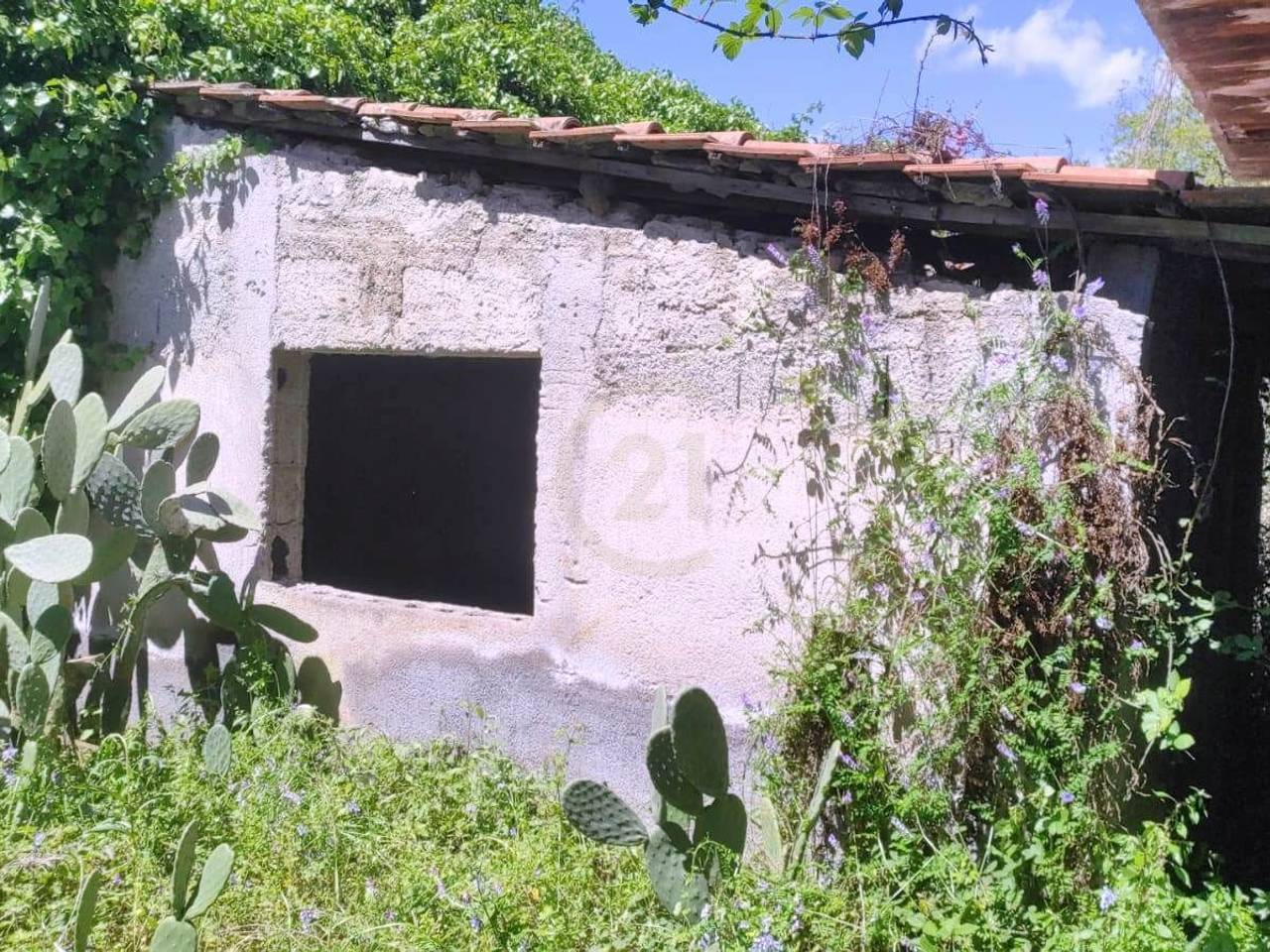 immagine annuncio 5 di 11