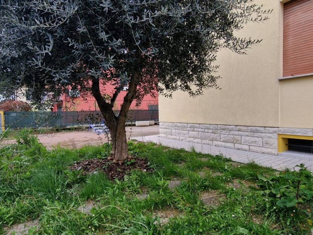 immagine annuncio 5 di 14