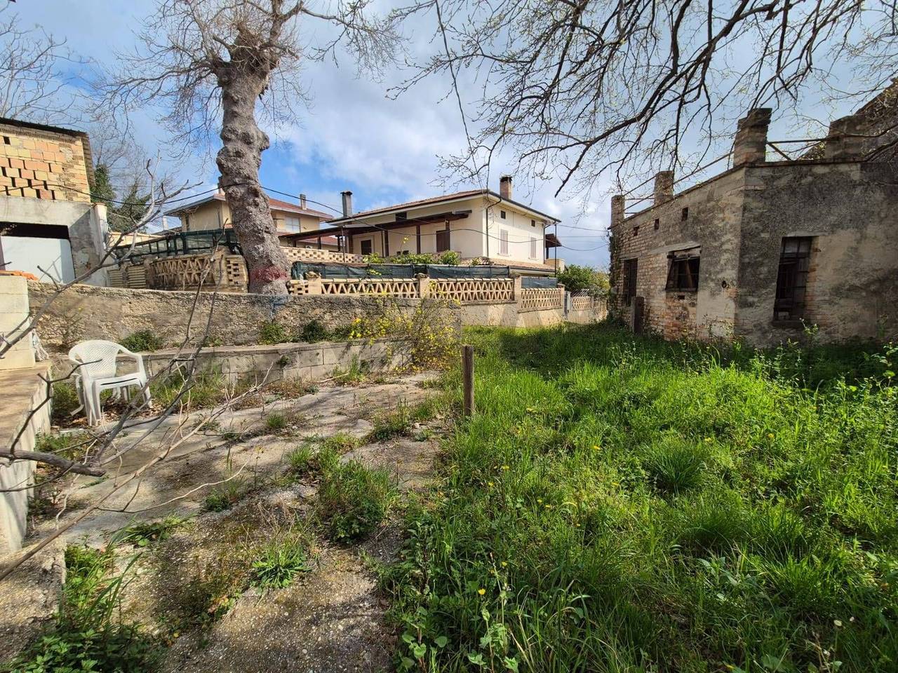 immagine annuncio 3 di 11