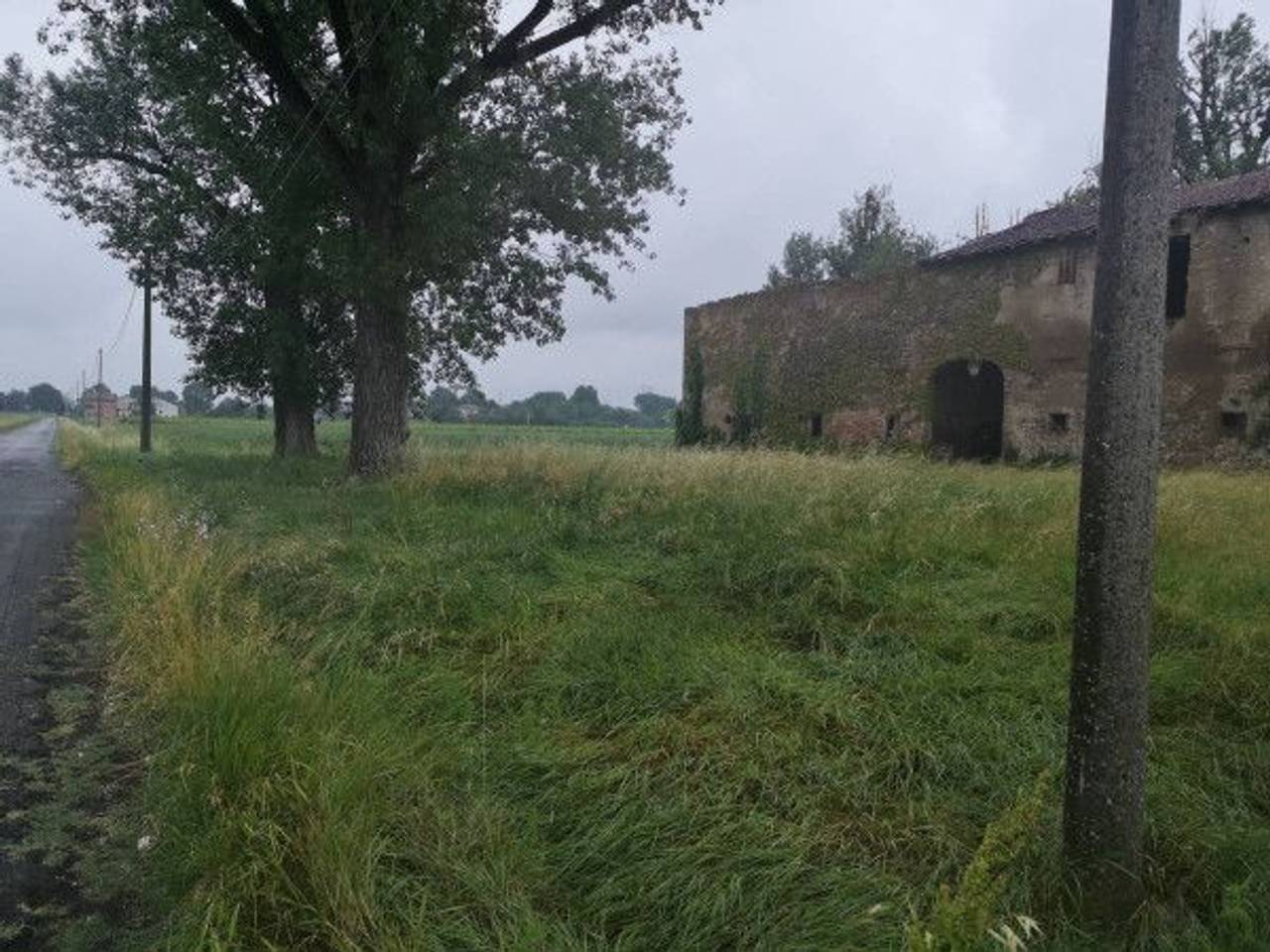 immagine annuncio 4 di 14
