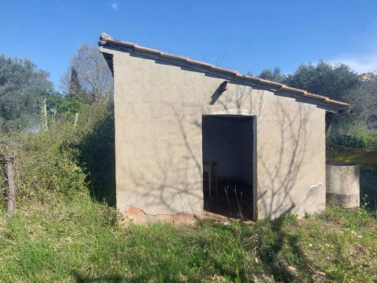 immagine annuncio 4 di 9