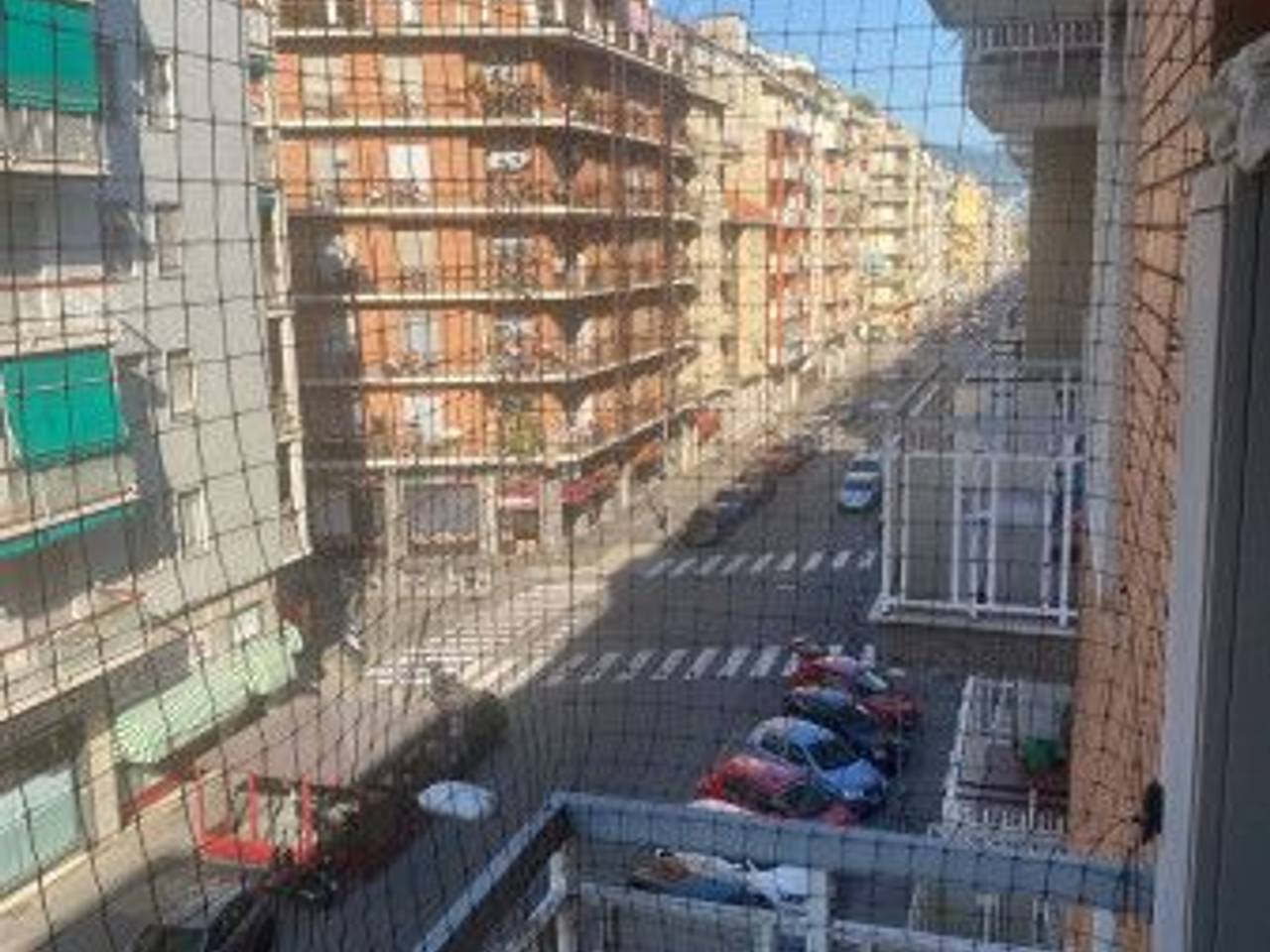immagine annuncio 10 di 13