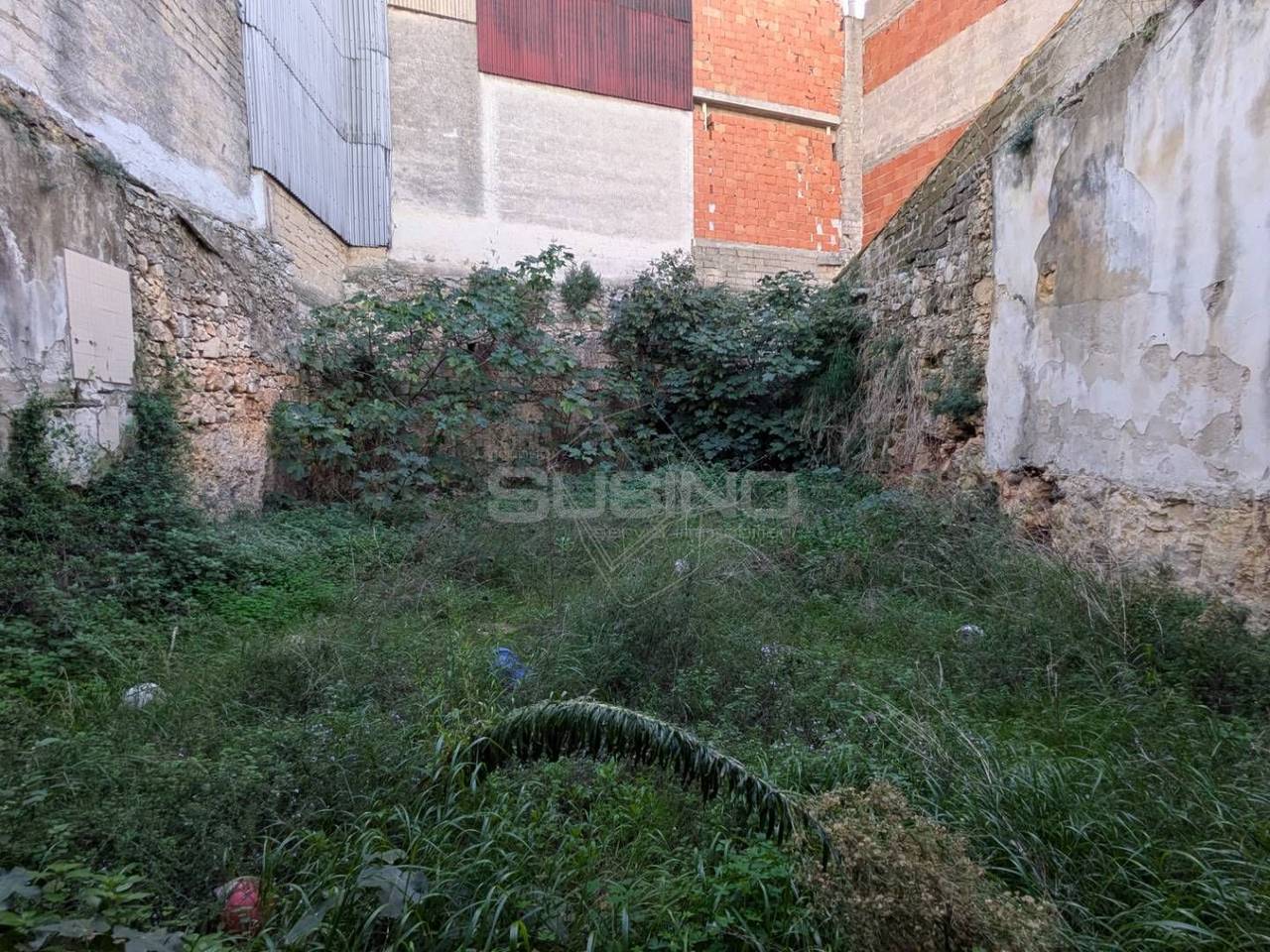 immagine annuncio 3 di 11