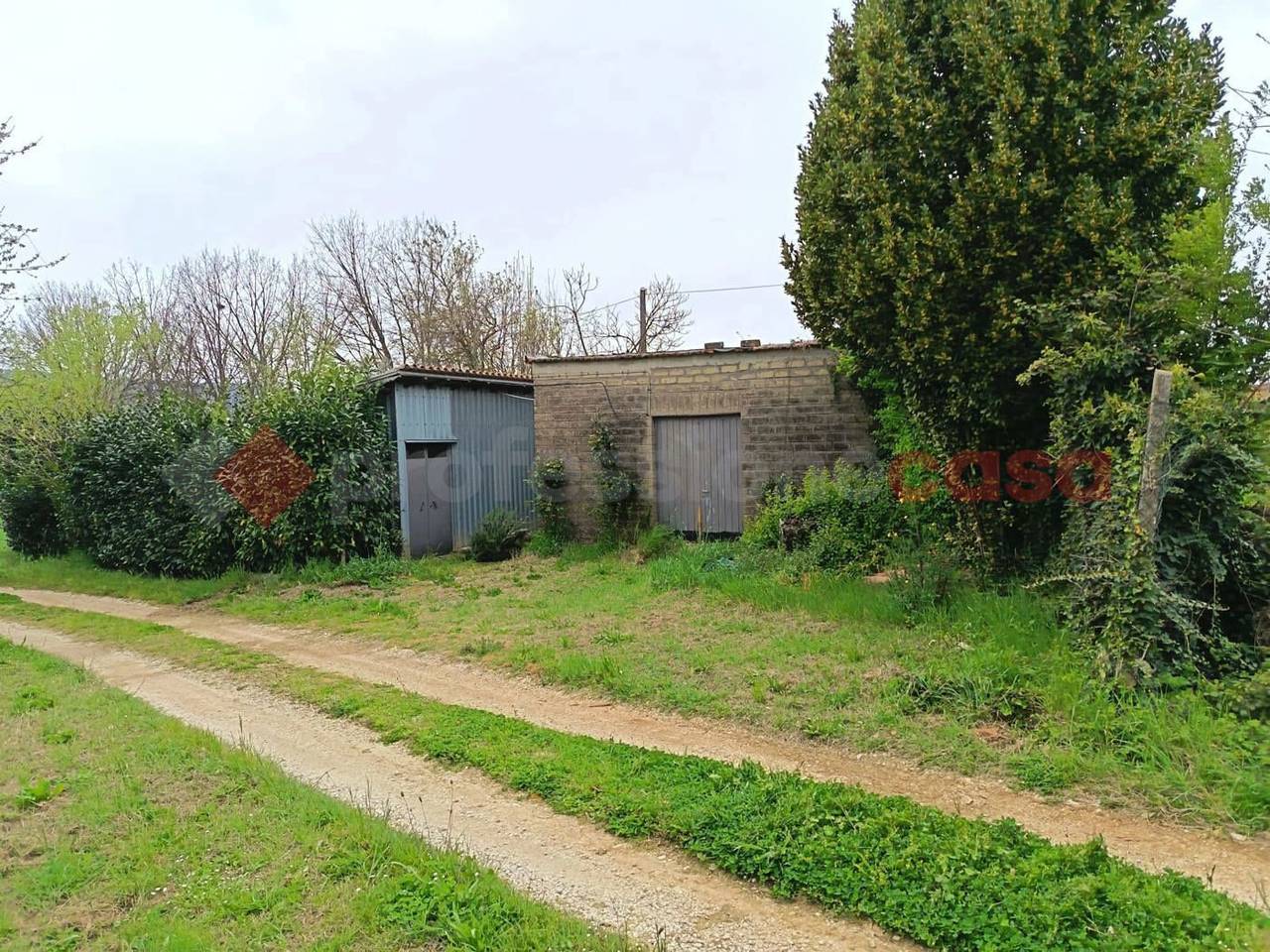 immagine annuncio 10 di 11